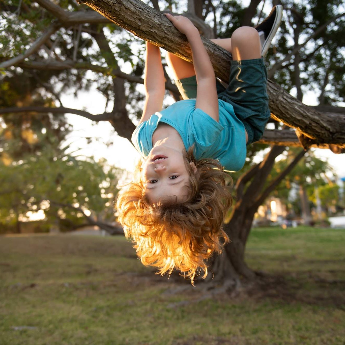 Young boy hanging upside down from a tree branch at a Calgary childcare centre