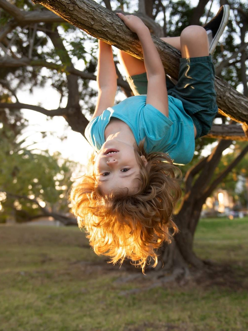 Young boy hanging upside down from a tree branch at a Calgary childcare centre